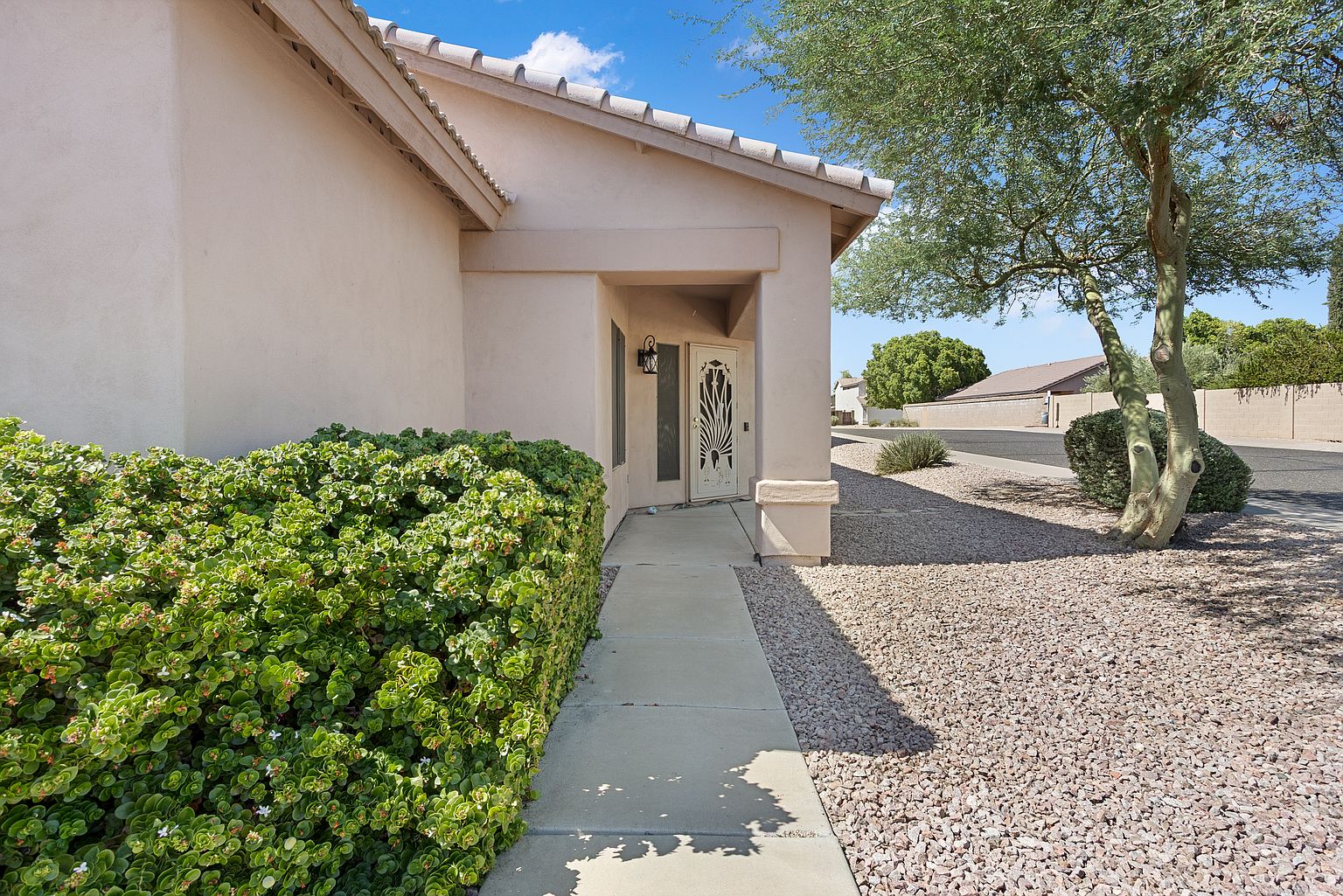 6602 W Honeysuckle Dr photo 3