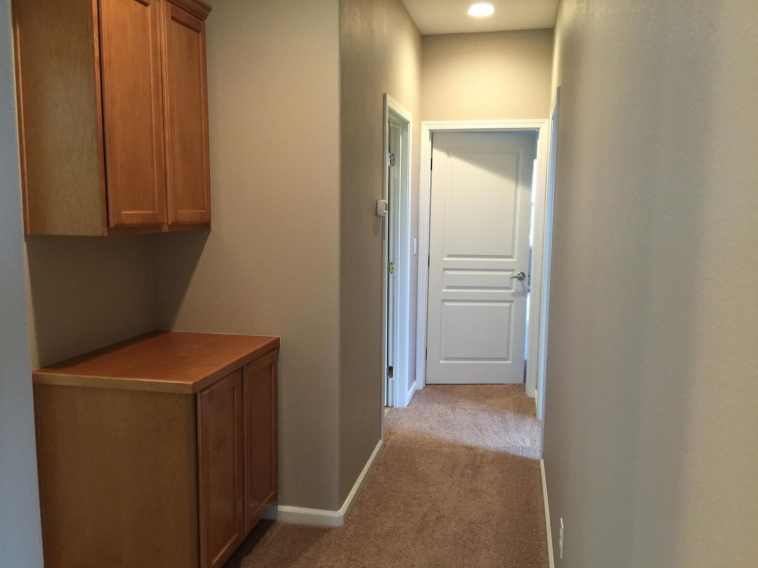 42 W Sergio Way photo 4