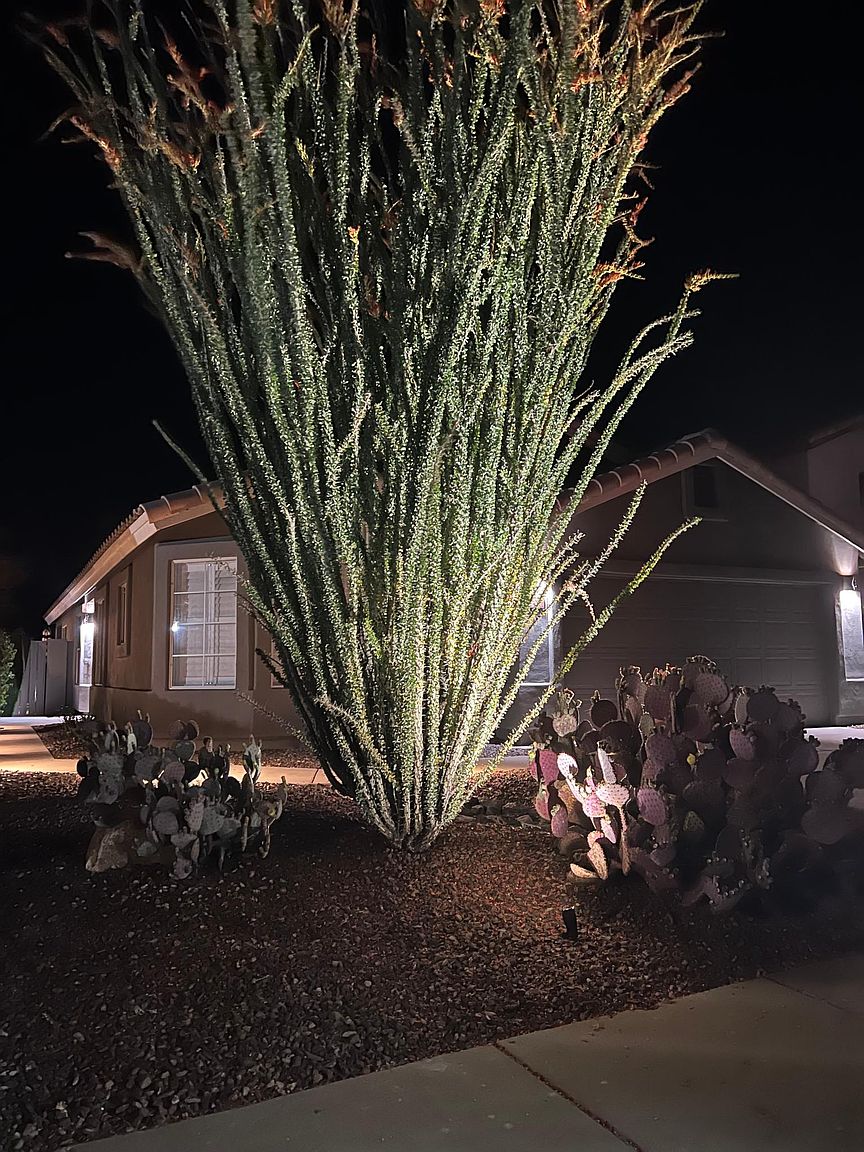 4052 E Chaparosa Way Cave Creek, AZ 85331 photo 2