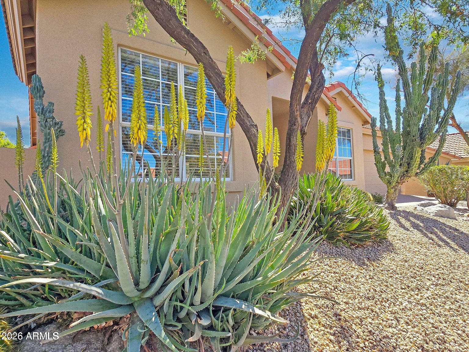 23831 N 74th St Scottsdale, AZ 85255 photo 5