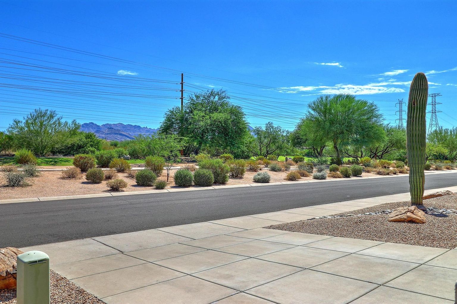 20458 N 78th Way photo 2