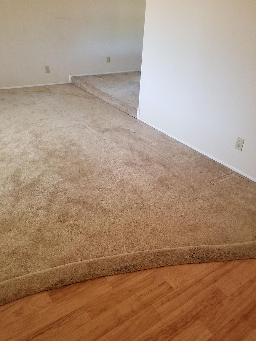 802 E Paradise Ln photo 3