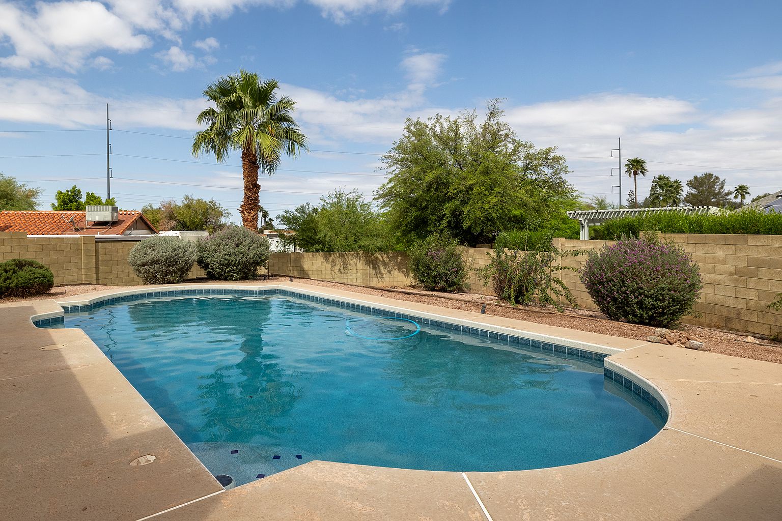 802 E Caribbean Ln photo 4