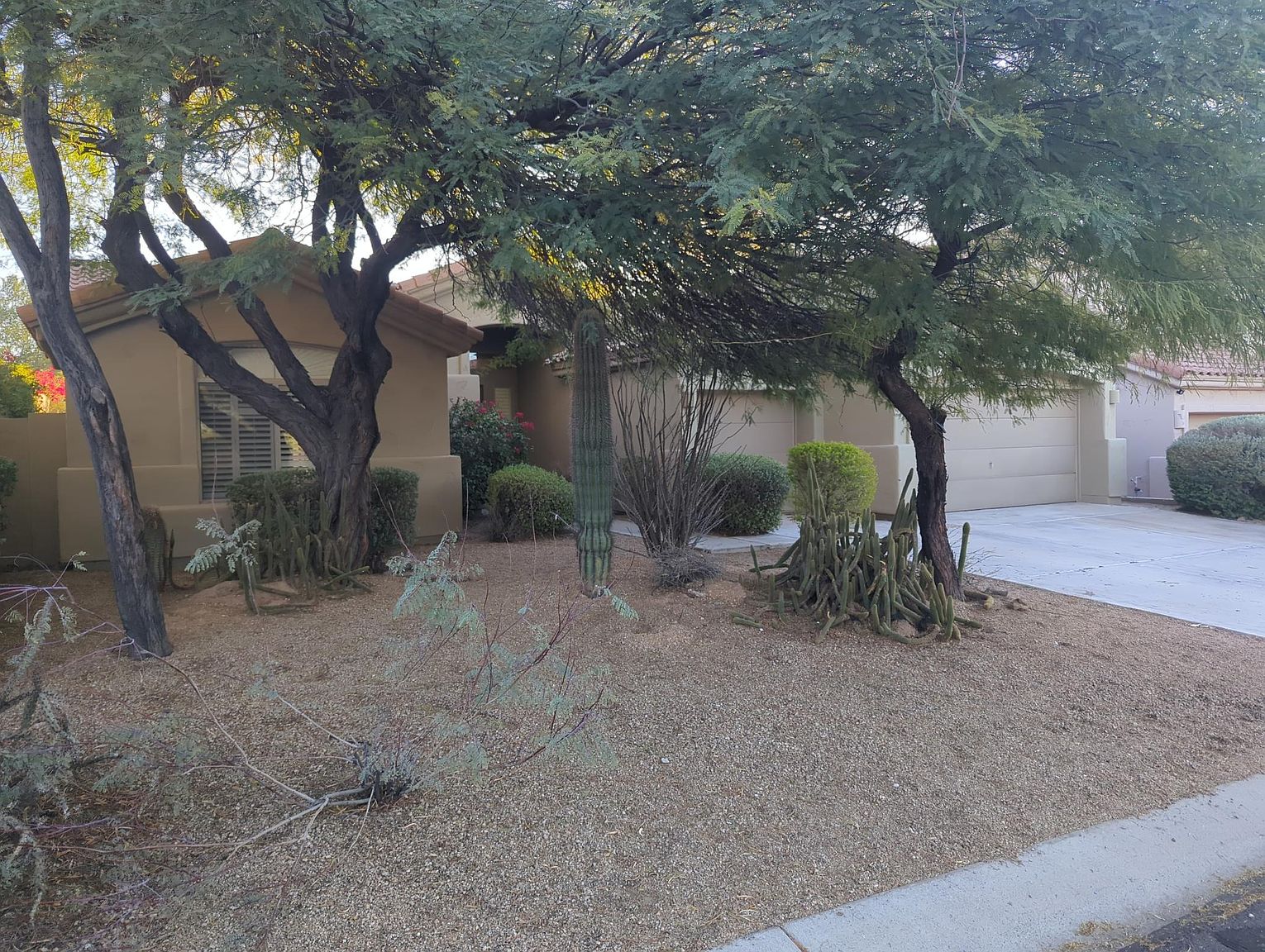 23235 N 90th Way photo 2