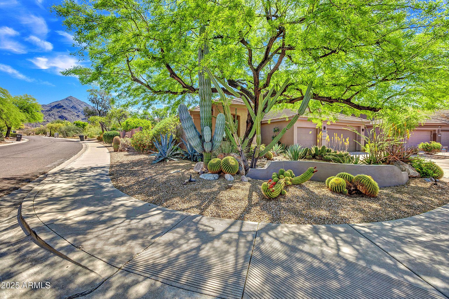 10655 E ACACIA Drive photo 5