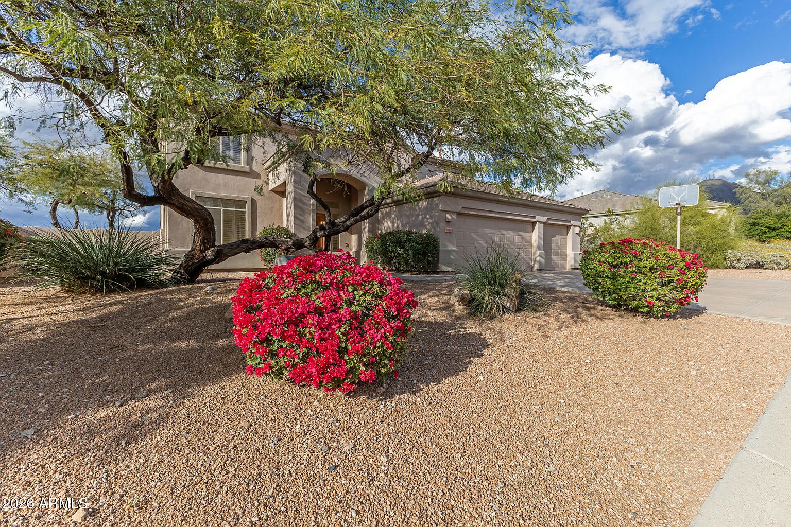 10872 E RAINTREE Drive photo 5