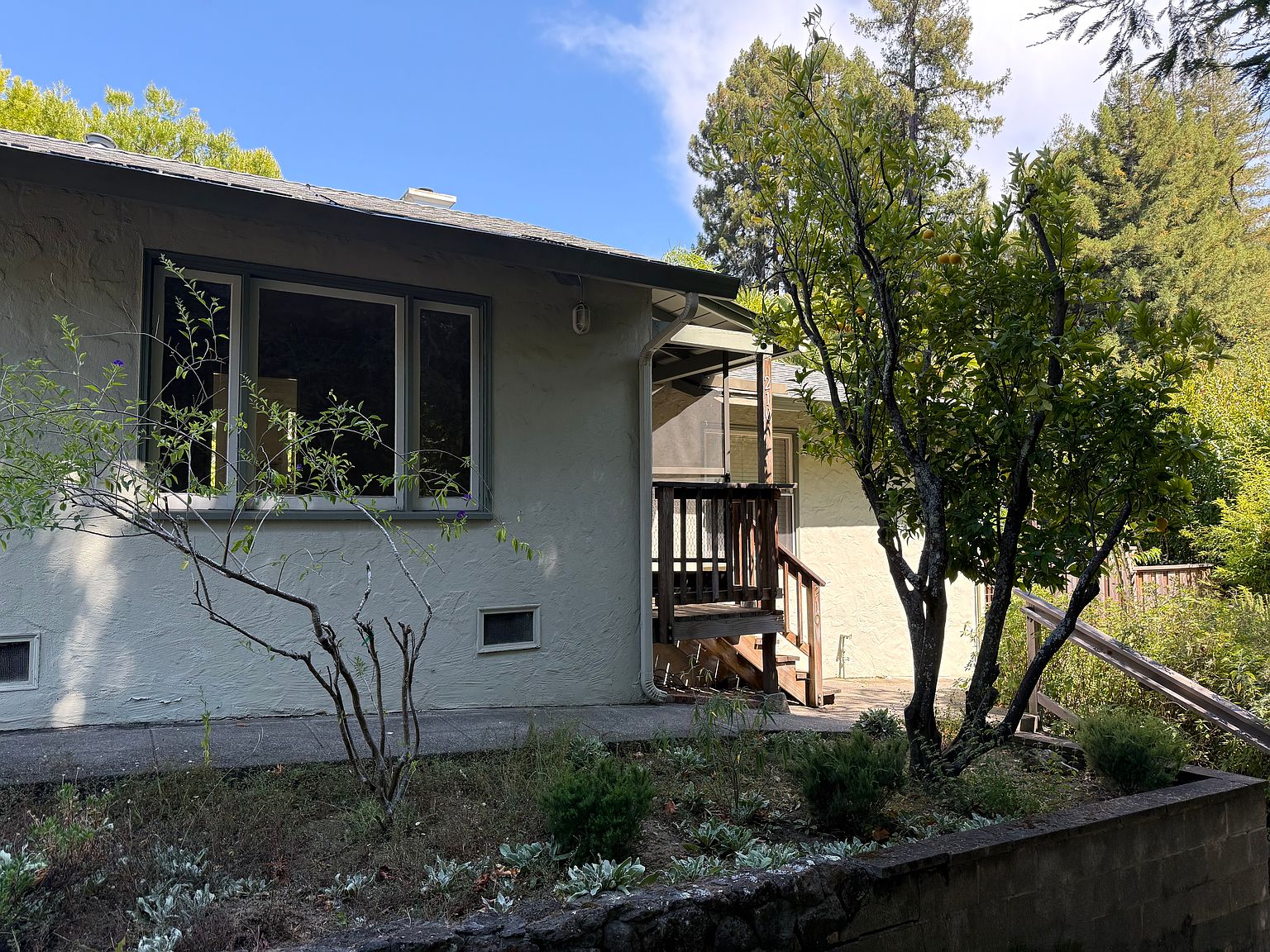 1BR/1BA Apartment on Throckmorton Ave · Mill Valley photo 5