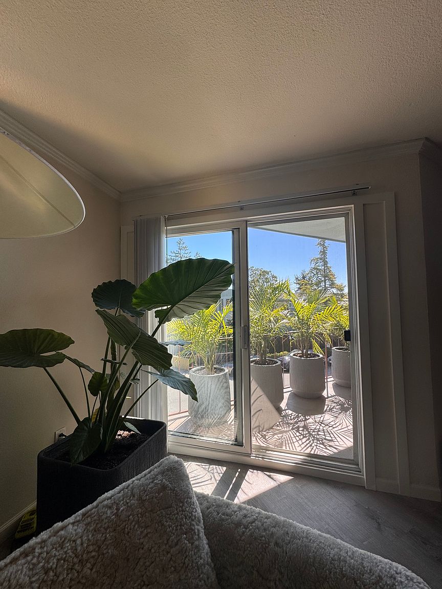 213 Lower Via Casitas photo 4