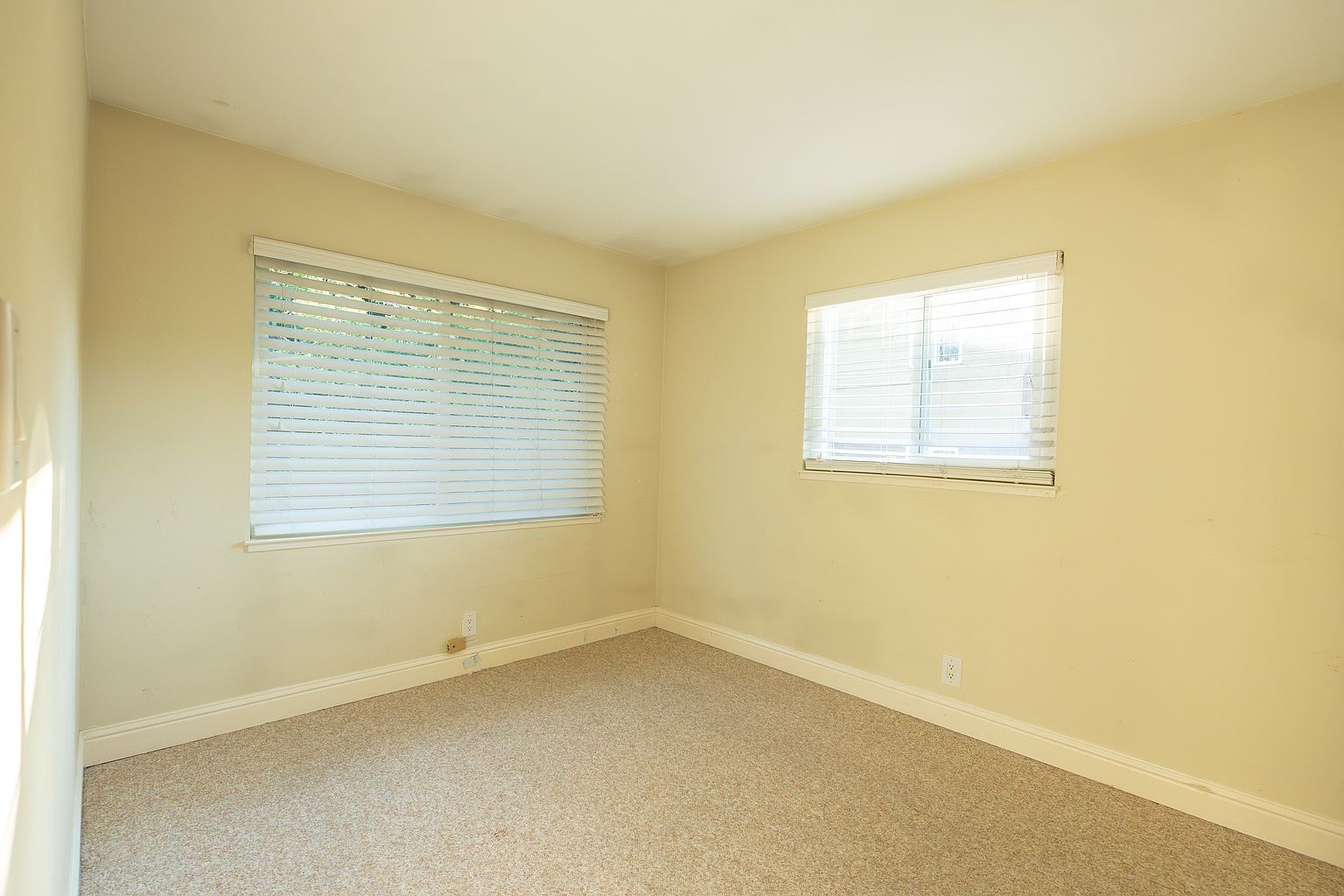 100 Reed Blvd photo 3