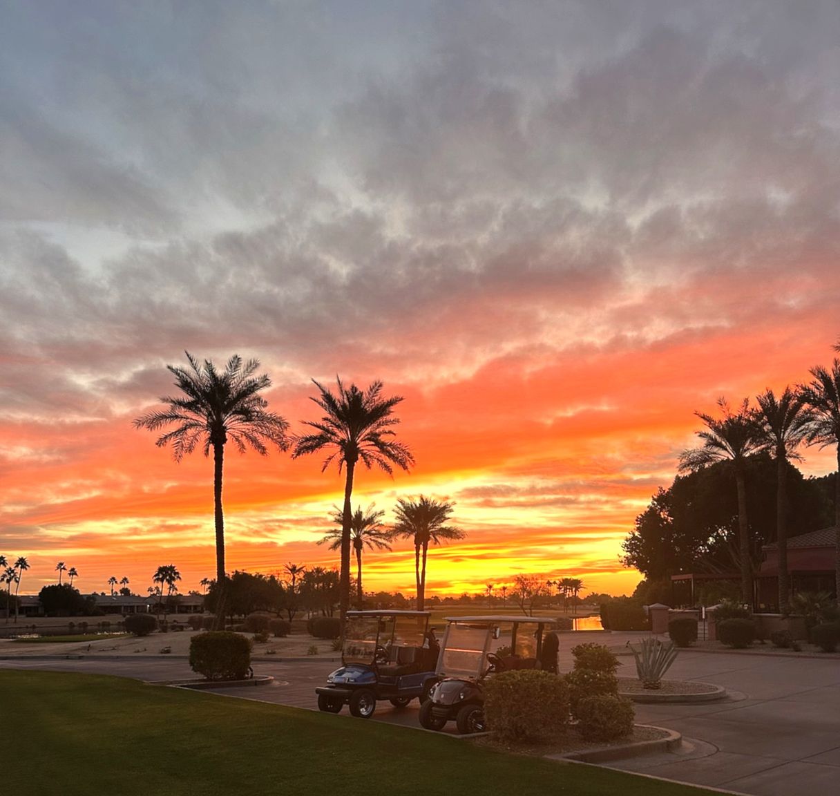 20332 N Painted Sky Dr photo 3