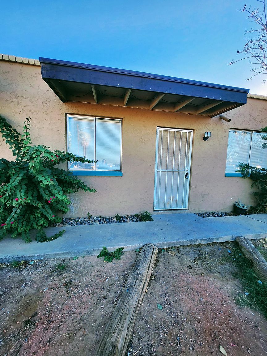 Hazel 827 photo 3
