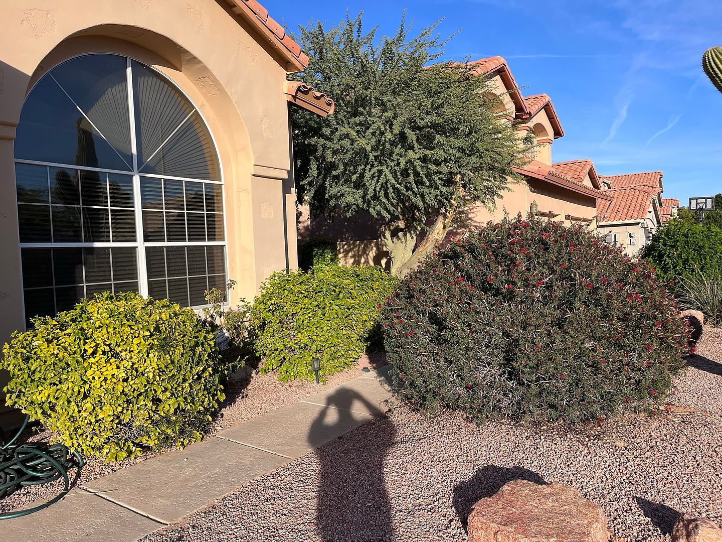 4746 West Carla Vista Drive, Chandler, AZ 85226 photo 5