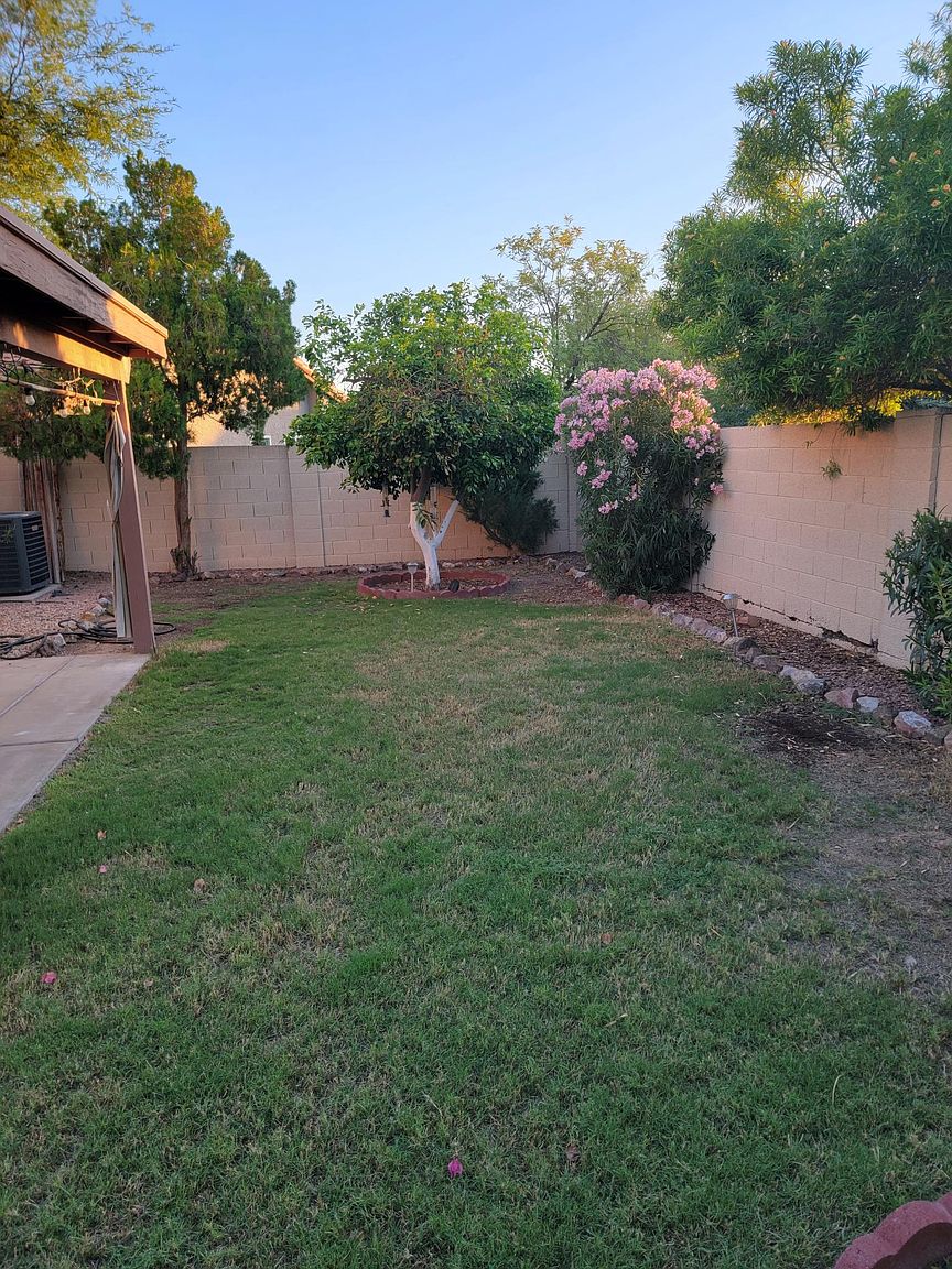 3866 E Bighorn Ave photo 5