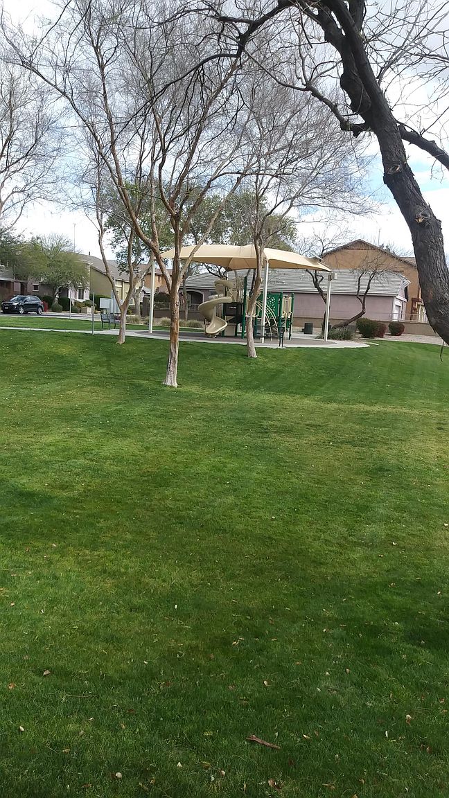 3720 E Kerry Ln photo 3