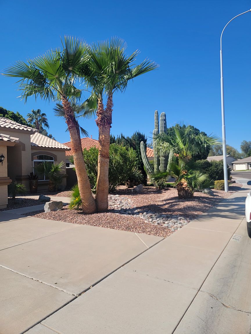 871 W Cherrywood Dr Chandler, AZ 85248 photo 2