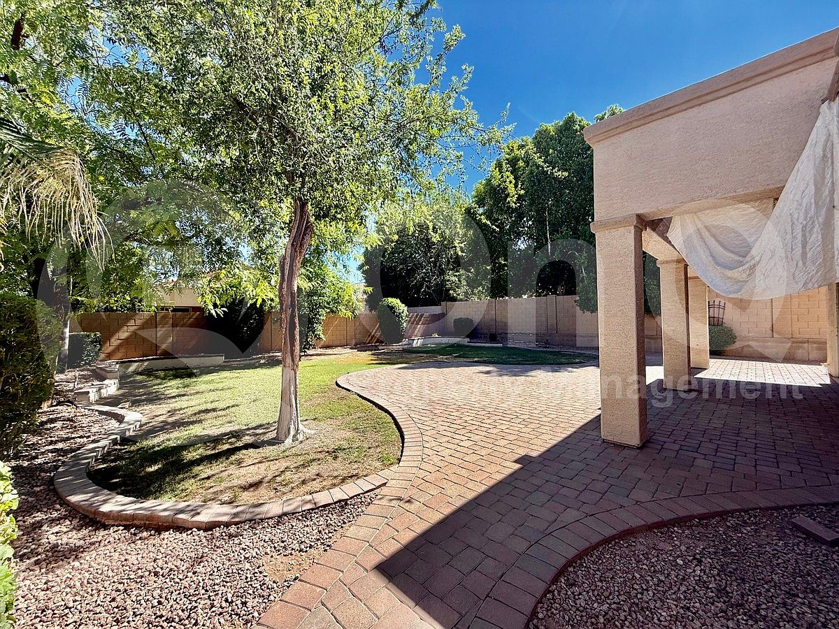 826 W Carob Dr Chandler, AZ 85248 photo 5