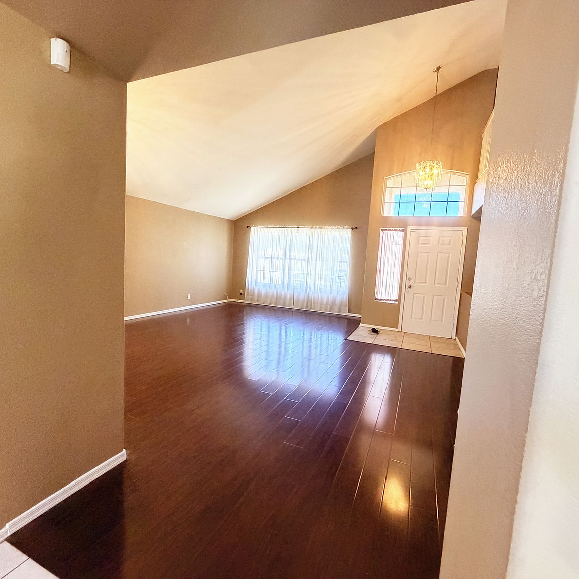 338 E Palomino Ct photo 5