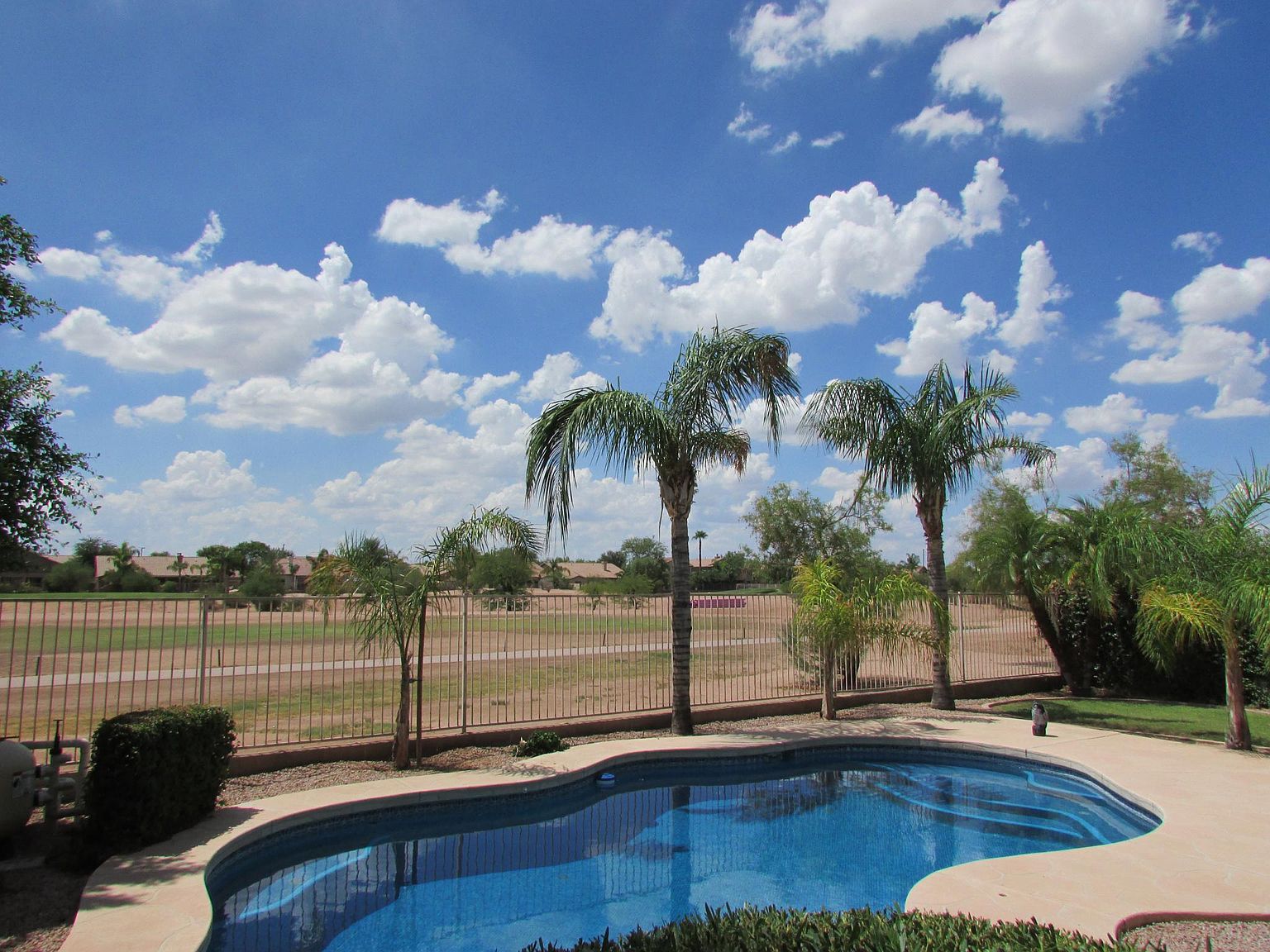 1346 S Palomino Creek Dr photo 5