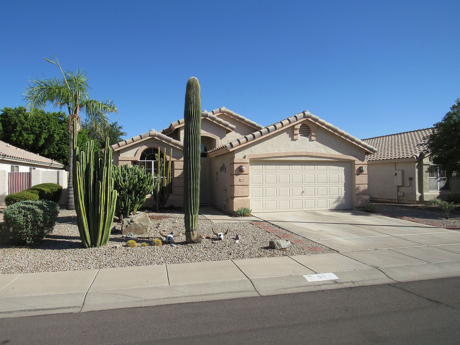853 E Constitution Dr Chandler, AZ 85225 photo 3
