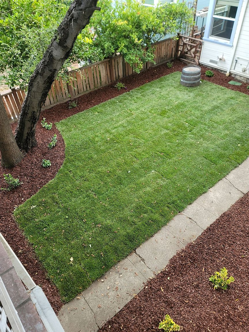 1457 Jefferson Ave photo 4