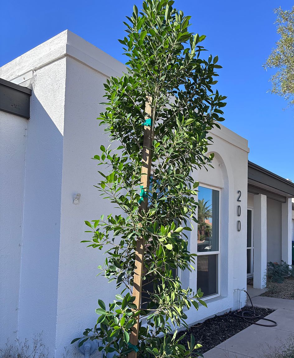 200 Bahia Ln E photo 2