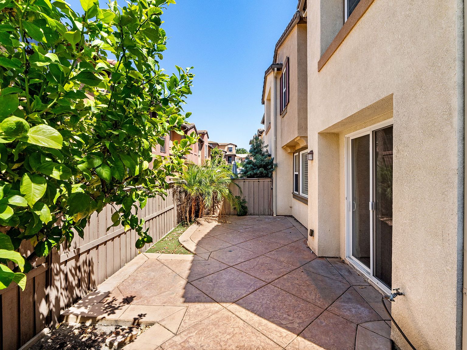 31035 Strawberry Tree Ln photo 4