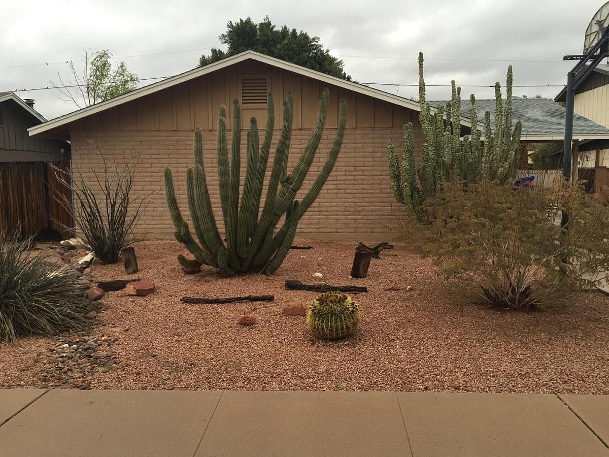 1434 E Del Rio Drive photo 2