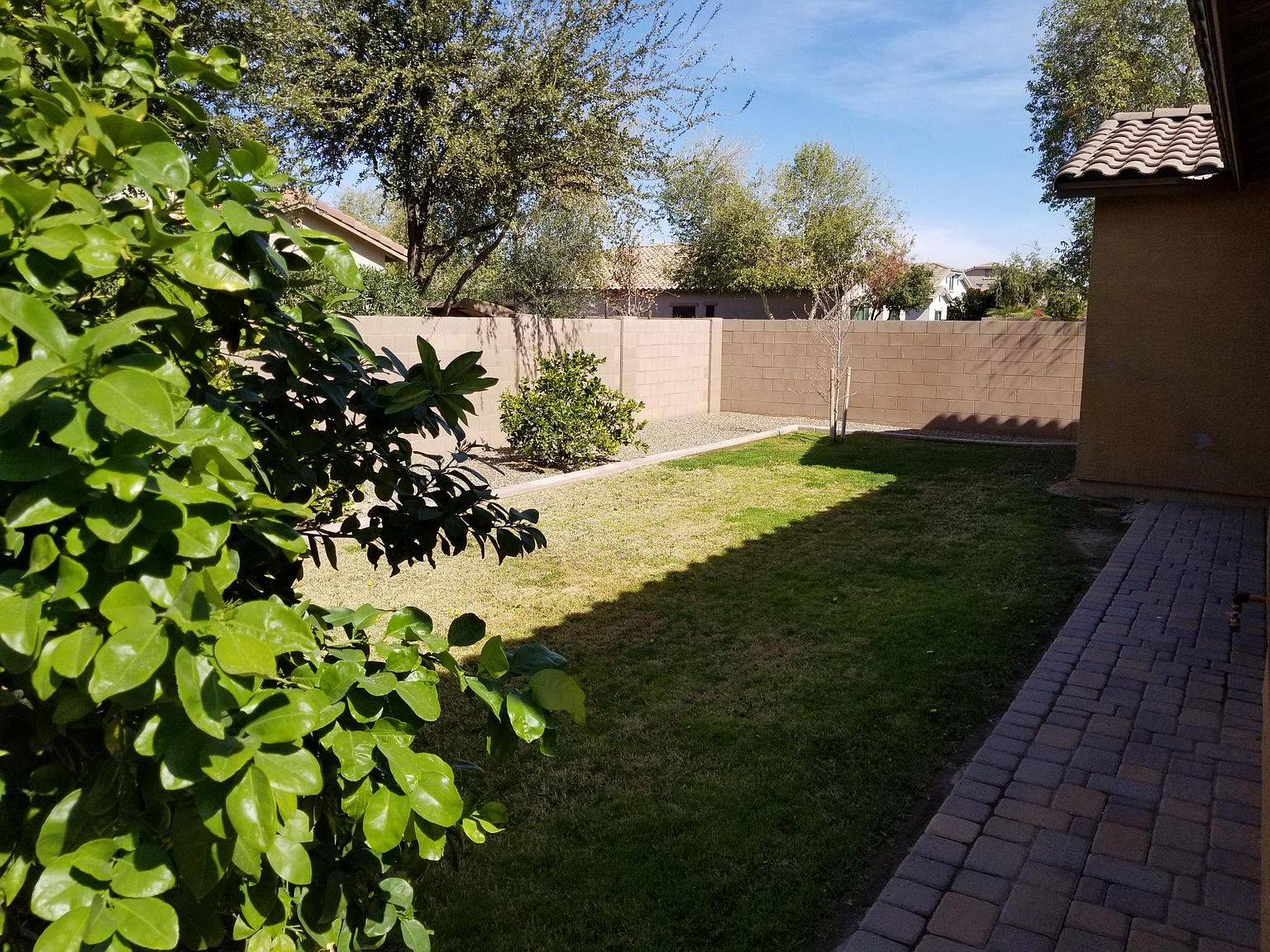 2678 E Ficus Way photo 5