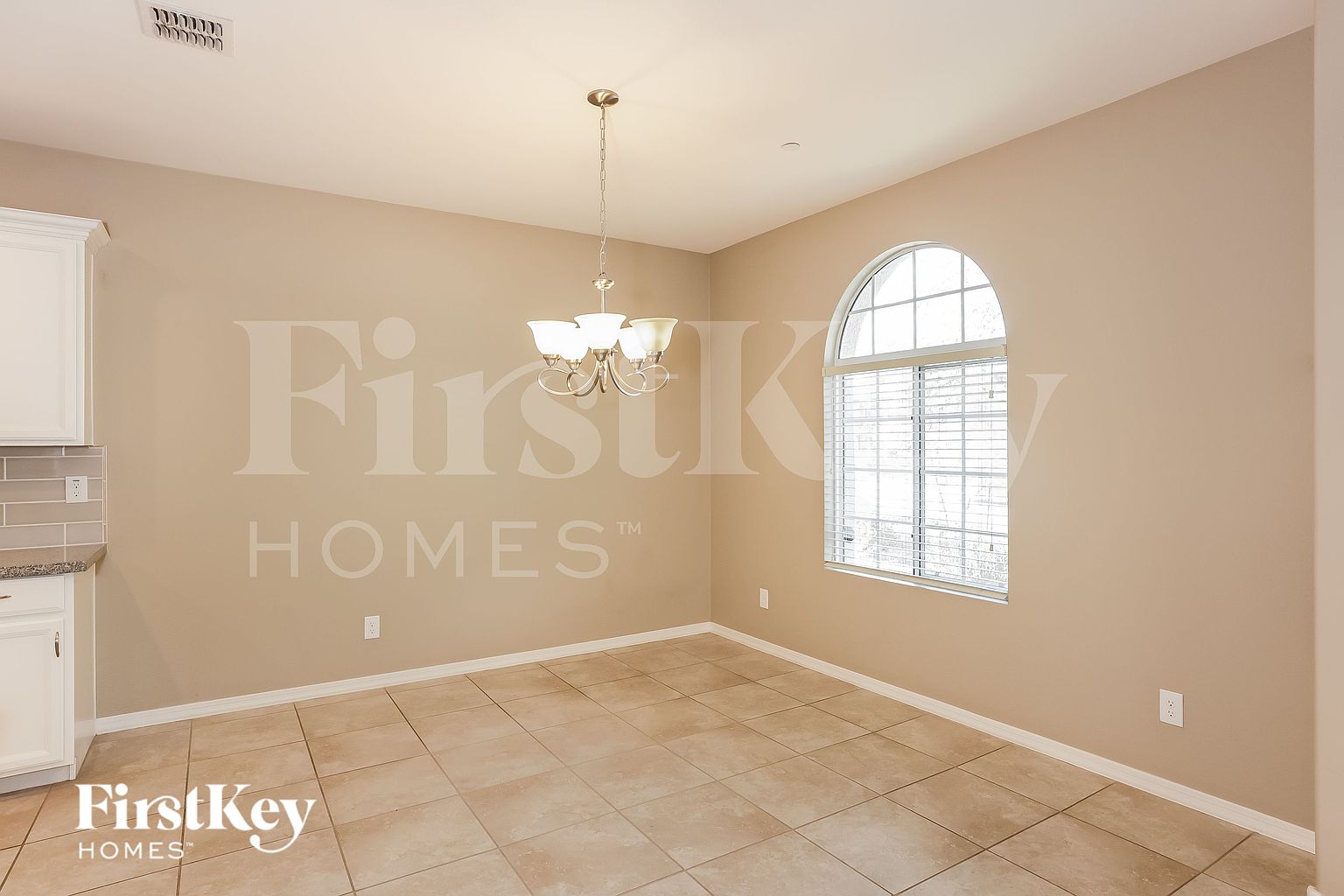 29079 N 124th Dr photo 5