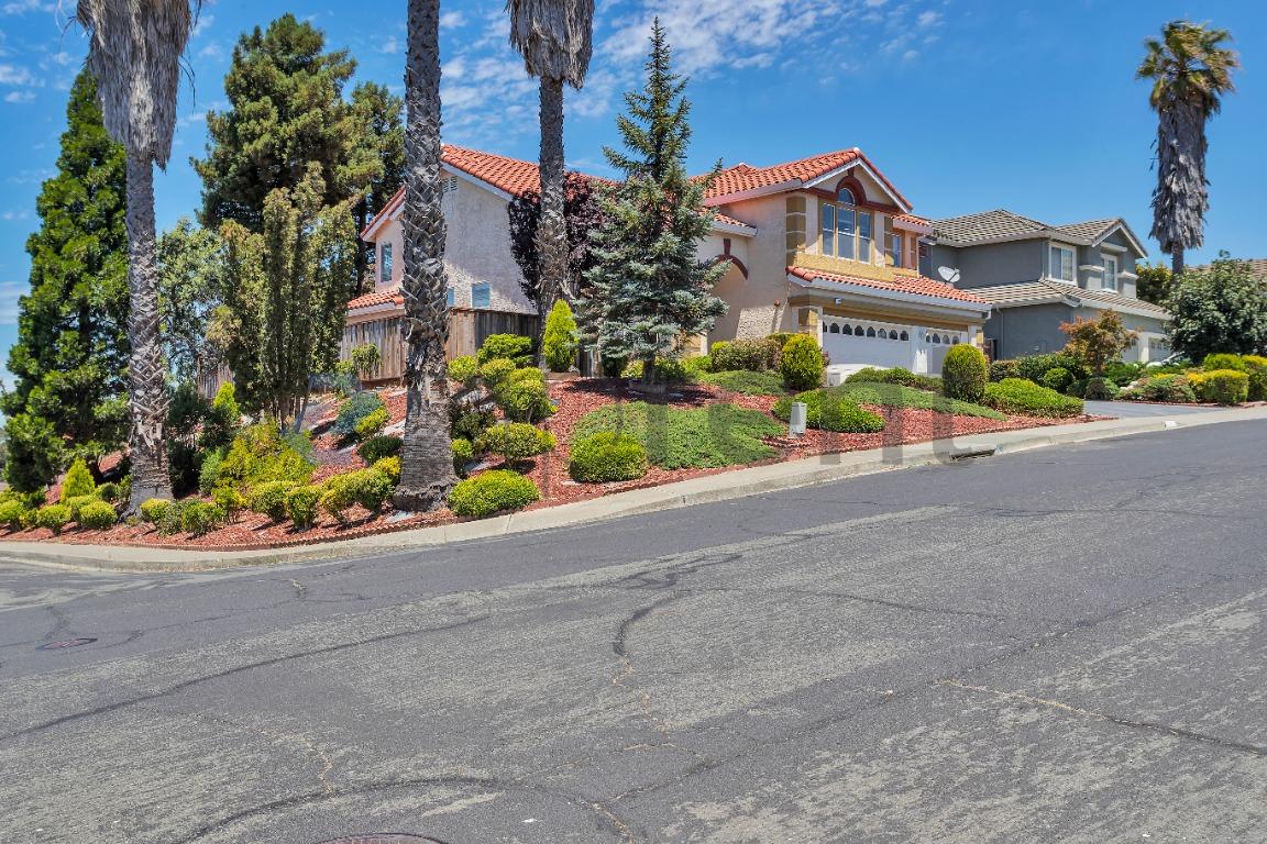 1001 Sandhurst Drive photo 4