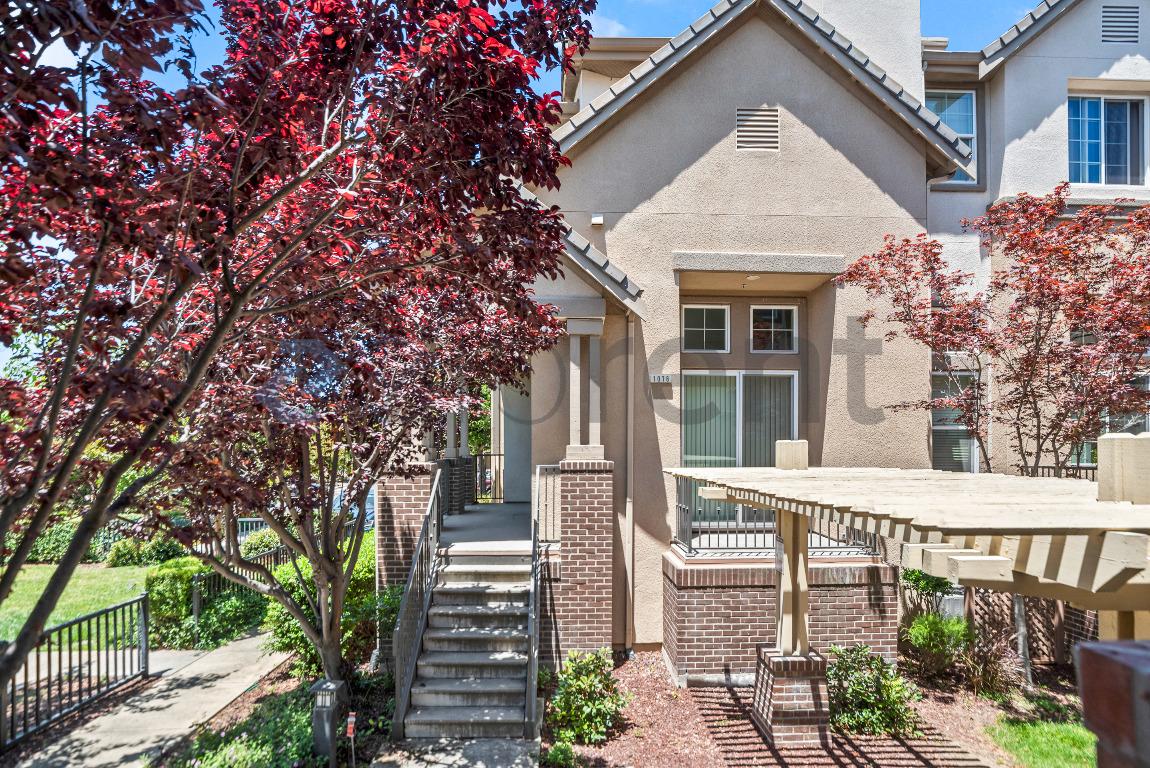1076 Sapphire Terrace photo 3