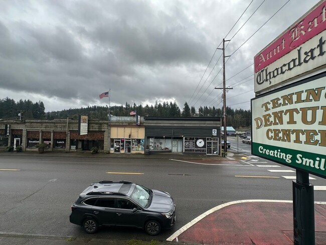 296 Sussex Ave W Tenino, WA 98589 photo 3
