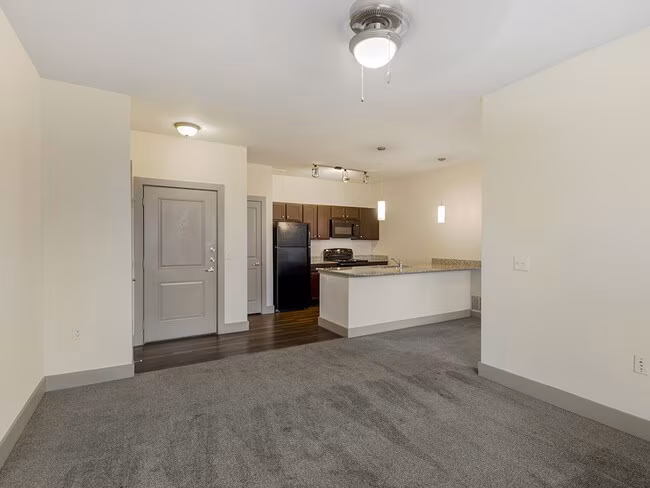 McKinney Pointe photo 3