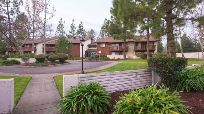Country Club Village photo 3