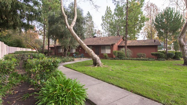 Country Club Village photo 2
