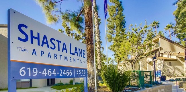 Shasta Lane Apartments photo 4