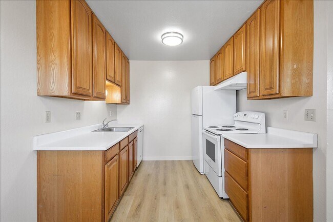 2228 Lincoln Ave Alameda, CA 94501 photo 5