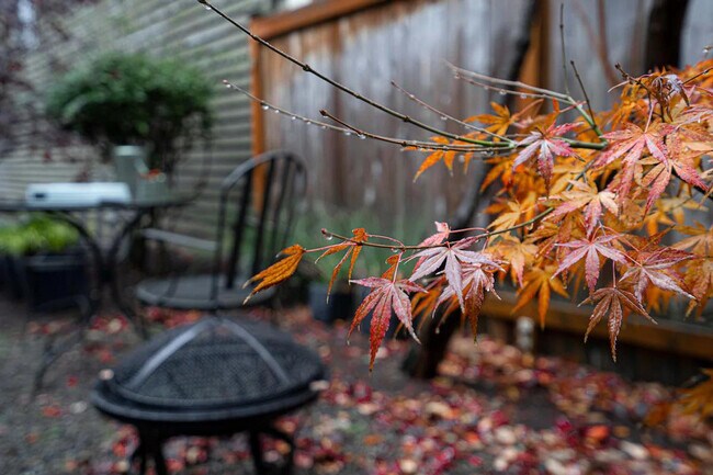 1208 E Thomas St Seattle, WA 98102 photo 5