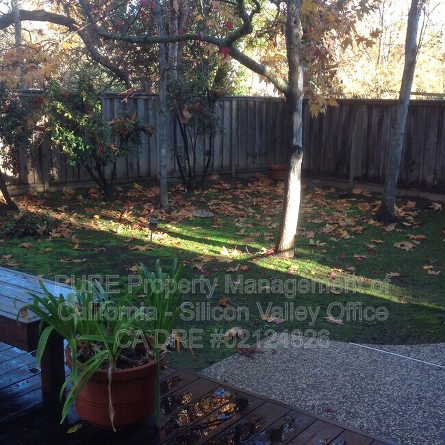 116 Mozart Avenue photo 3