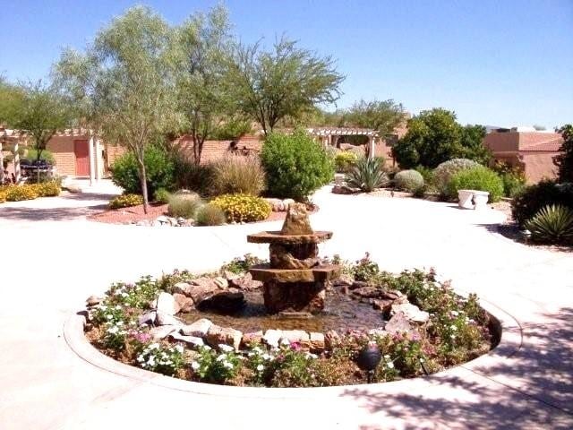 Desert Gold photo 4